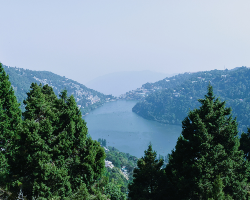 Local Sightseeing Tours